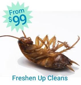 Freshen Up Cleans